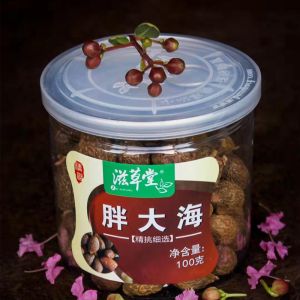 滋草堂 胖大海 100g*罐